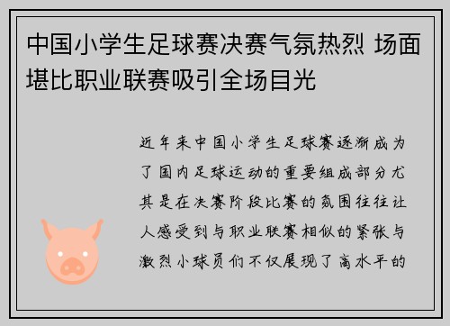中国小学生足球赛决赛气氛热烈 场面堪比职业联赛吸引全场目光